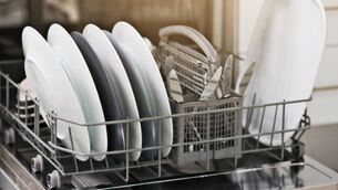 <p>Suzanne had a dishwasher installed when her kids were younger 'rather than waste finite energy fighting over who left a plate in the sink'. </p> <p>Suzanne had a dishwasher installed when her kids were younger 'rather than waste finite energy fighting over who left a plate in the sink'. </p>