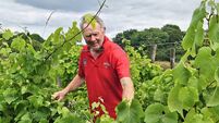World is 'sleepwalking' into food crisis, says former EU agriculture commissioner