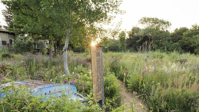 <p>John and Fiona Little's garden. Pictures: John Campbell</p>