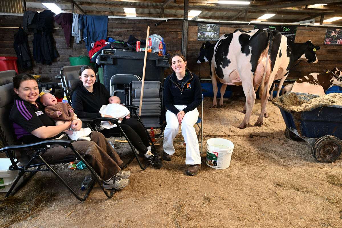  Away in a manger.... 'New mum' Claire Kirby with 14-week-old twins Charlotte and Isabelle Sheehy, seated in the cattle prep area with friends Kate Lehane and Sarah Shannon, from Clonakilty at the FBD Insurance National Dairy Show at the Green Glens Arena, Millstreet, Co Cork. The show continues on Saturday 10th October 2026. Picture: Larry Cummins