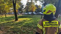 Poland School Attack