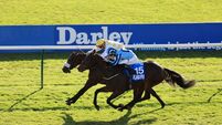 RACING Newmarket Races - Saturday October 10th