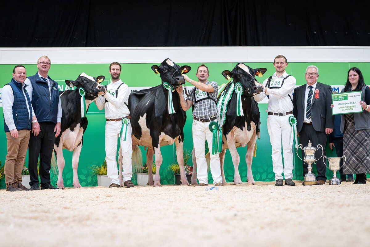 National Dairy Show 2026 championship line-up (from left): Honourable Mention Jones Knowlesmere Lvictory, exhibited by Jones Cattle LTD; Reserve Champion Tubbertoby Mirand Abba, exhibited and bred by Paul and Matthew Flanagan; and Supreme Champion and Irish Examiner Exhibitor Bred winner Eedy Doorman Fame exhibited by R&amp;S, J&amp;L Helen pictured with judge Mark Logan. Picture: Mathias Penn