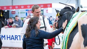 <p>Owners Jason and Laura Helen celebrate as Eedy Doorman Fame is named this year's National Dairy Show Champion. Picture: Mathias Penn</p> <p>Owners Jason and Laura Helen celebrate as Eedy Doorman Fame is named this year's National Dairy Show Champion. Picture: Mathias Penn</p>