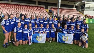 <p>Ballinhassig, winners of the Cork Premier Intermediate camogie title.</p>