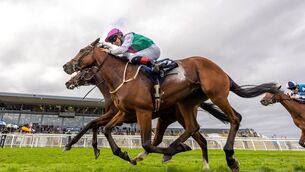 <p>Joey Sheridan on Princess Child, farside, gets the better of Colin Keane on Faiyum in a photo finish. Pic: Morgan Treacy/Inpho</p> <p>Joey Sheridan on Princess Child, farside, gets the better of Colin Keane on Faiyum in a photo finish. Pic: Morgan Treacy/Inpho</p>