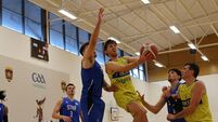 Do domestic club loyalties trump support for the Ireland senior basketball team?