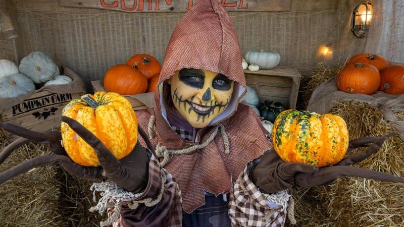 Here are the best places to go pumpkin-picking in Ireland this Halloween