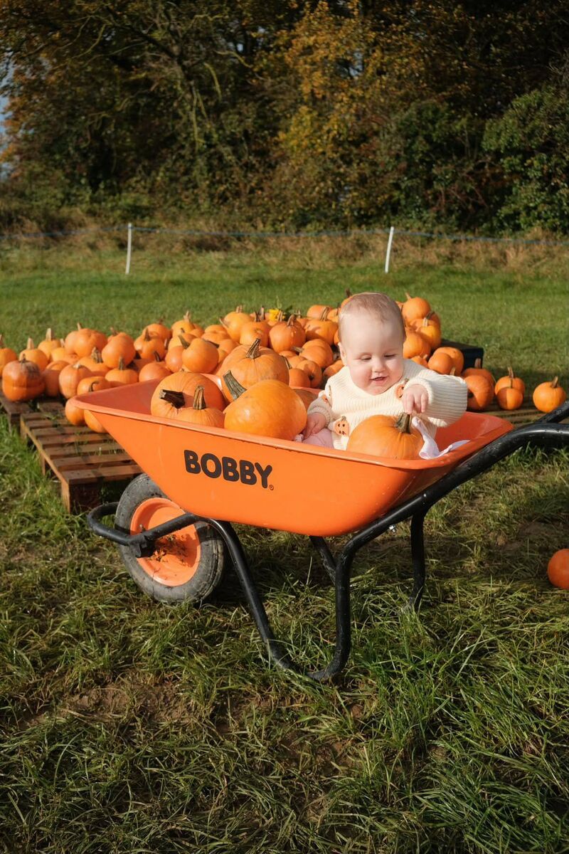 A baby gets in the mood for Halloween at Piltown Pumpkin Patch in Meath 