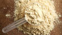 Whey protein powder in a measuring cup on a wooden background