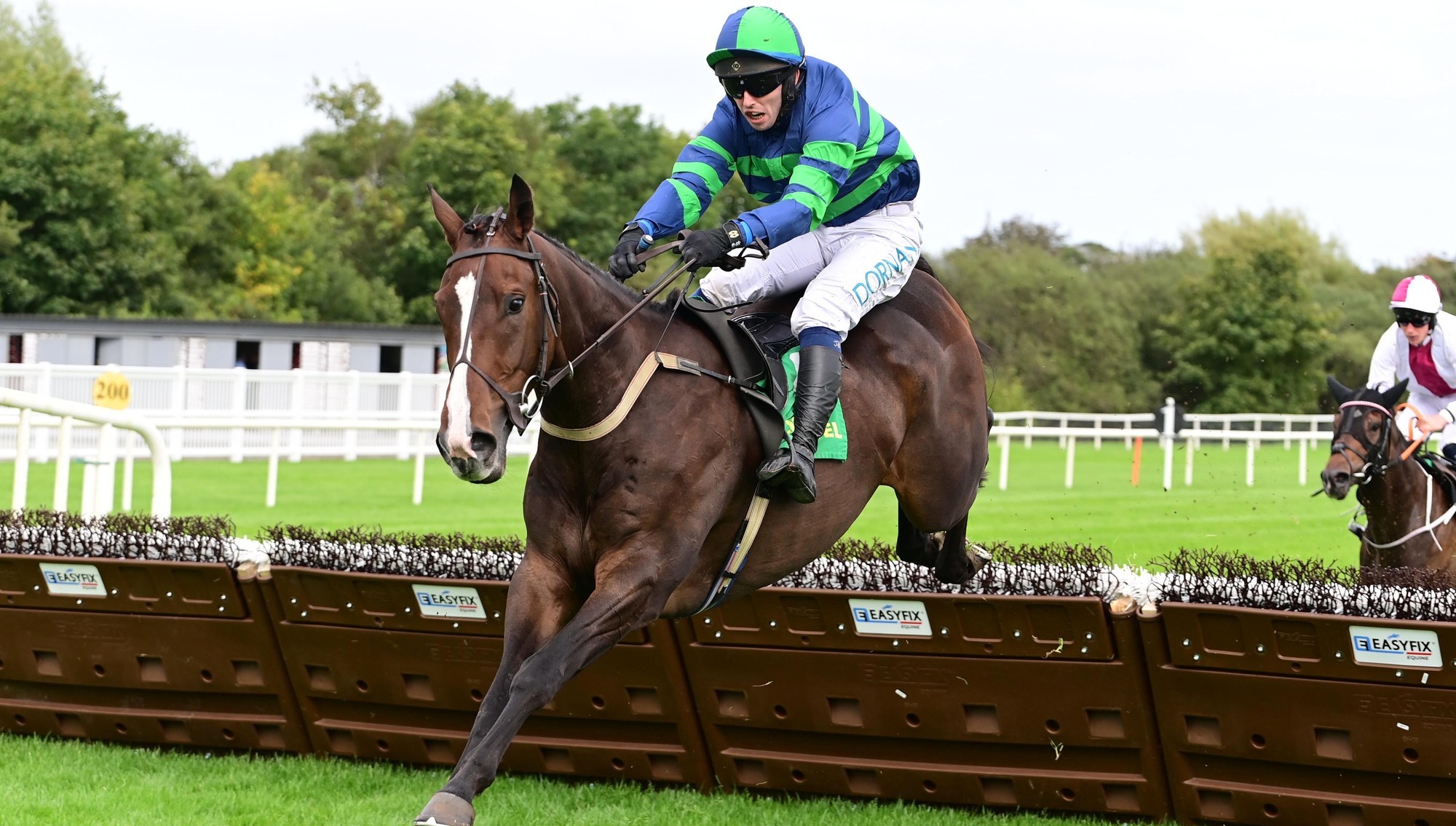 POWER PLAY: Danny Power and Darragh O'Keeffe jump the last en route to victory at Listowel last month. 	Picture: Healy Racing