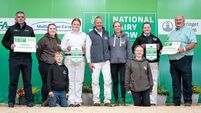 Paula Hynes: Bring the show ring to the cattle lines with a big screen