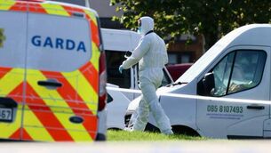 <p>Gardaí from the Garda Technical Bureau at the scene of an arson attack that killed two adults and two children in the Birchwood area of Waterford City. Picture: Neil Michael</p> <p>Gardaí from the Garda Technical Bureau at the scene of an arson attack that killed two adults and two children in the Birchwood area of Waterford City. Picture: Neil Michael</p>