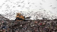Call to ban materials from landfill