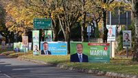 Greatest regulators of election posters are Tidy Towns committees, Oireachtas told