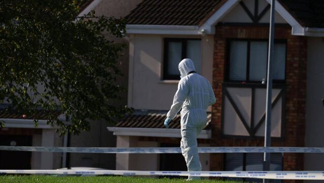 <p>Gardaí from the Garda Technical Bureau at the scene of an arson attack. Picture: Neil Michael</p>