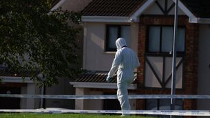 <p>Gardaí from the Garda Technical Bureau at the scene of an arson attack. Picture: Neil Michael</p>