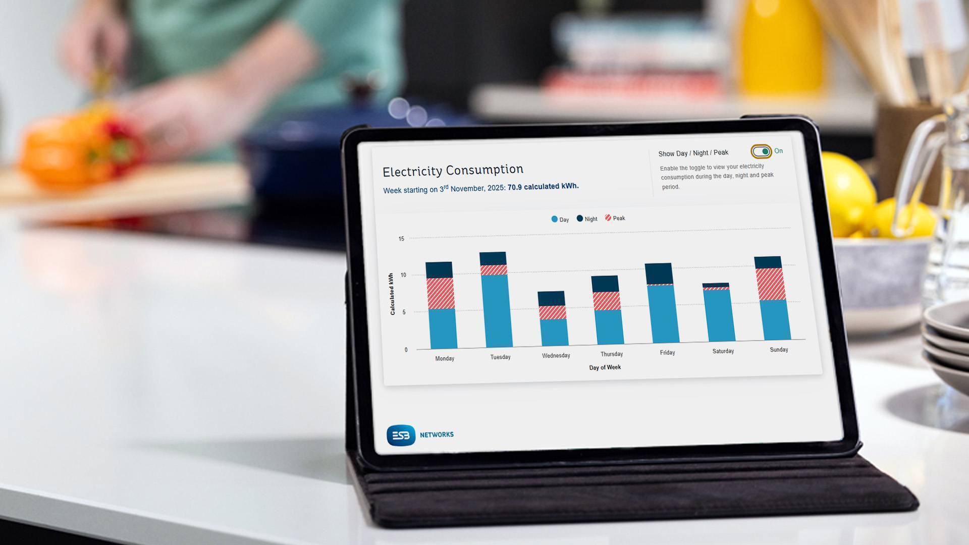 Registering for an ESB Networks online account is helping to fuel Ireland's energy transition. 