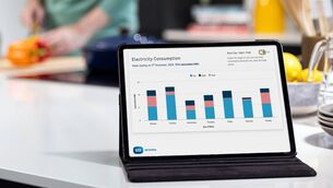 <p>Registering for an ESB Networks online account is helping to fuel Ireland's energy transition. </p>