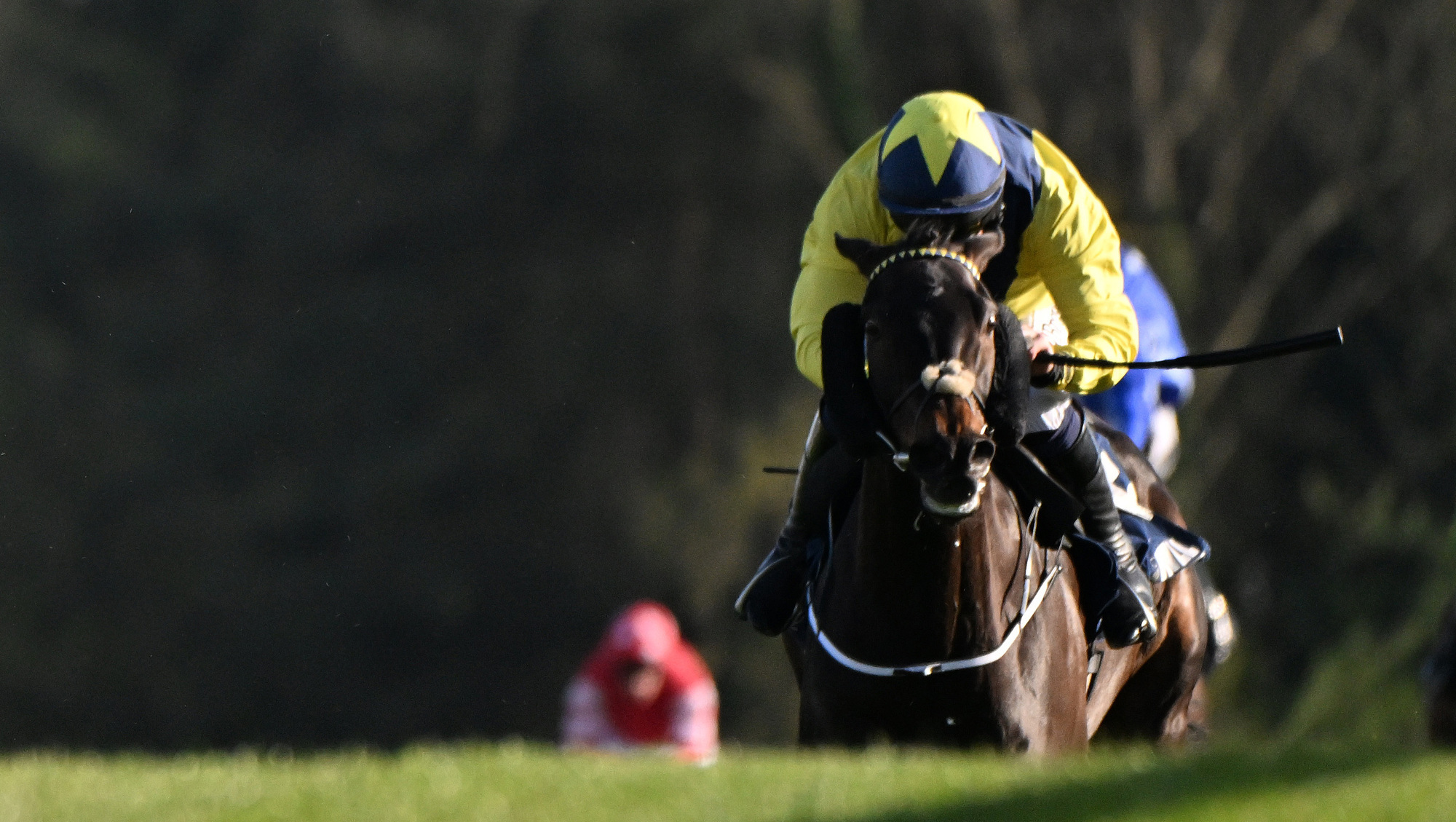 Barry Connell said Marine Nationale was only 80% fit when he ran at Punchestown in April. Pic: Healy Racing.