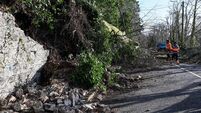 Overhanging roadside trees in West Cork putting council workers 'in danger' during winter storms