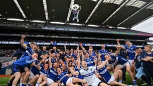 <p>There are seven Laois players on the 2026 Joe McDonagh Cup team of the year. Pic: Ramsey Cardy/Sportsfile</p>
