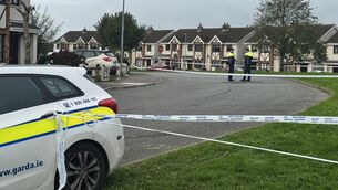 <p>Gardaí remain at the scene in the Birchwood area of Waterford. A number of vehicles and electronic devices have been seized in relation to the murder investigation. Picture: Mícheál Ó Scannáil/the Press Association</p>