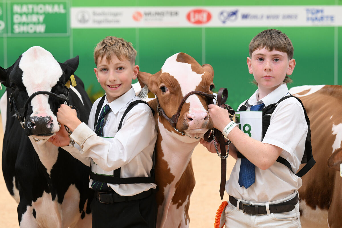 Charlie Salter and John Ryan in the show ring for the Junior Class 1A handlers exhibiting a Holstein or Jersey calf born in 2026. Picture: Larry Cummins Charlie Salter and John Ryan in the show ring for the Junior Class 1A handlers exhibiting a Holstein or Jersey calf born in 2026. Picture: Larry Cummins