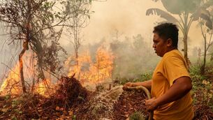 <p>A man sprays water to extinguish a wildfire in the Bukit Batu area of Palangkaraya, Central Kalimantan province on October 13, 2026. (Photo by REINA / AFP via Getty Images)</p>