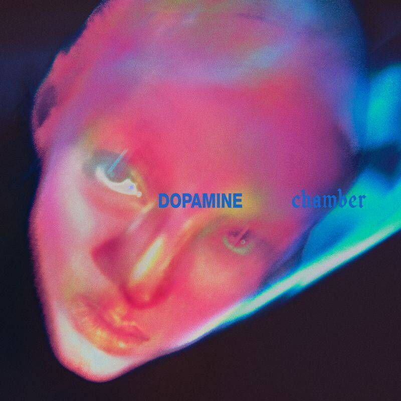 Fontaines DC: Dopamine Chamber Fontaines DC: Dopamine Chamber