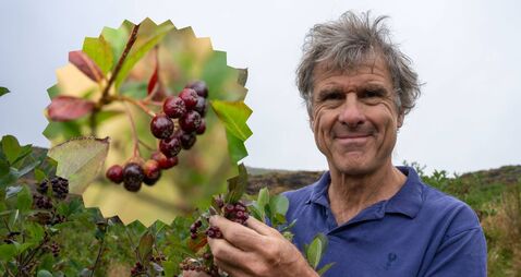 Lifestyle collage (36).png West Cork's new little berries packs a big health punch