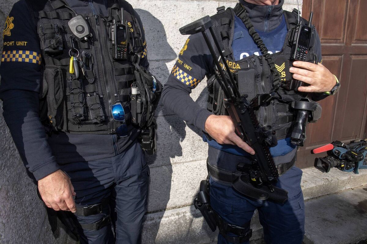 A file picture of armed gardaí. A number of reports have suggested that some holsters supplied to gardaí including Detective Garda Colm Horkan may have been defective. Now his family is calling for a public inquiry into those holster. File picture: Dan Linehan A file picture of armed gardaí. A number of reports have suggested that some holsters supplied to gardaí including Detective Garda Colm Horkan may have been defective. Now his family is calling for a public inquiry into those holster. File picture: Dan Linehan