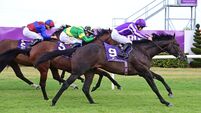 Preview: Wall Street's stock has risen ahead of busy weekend in Leopardstown and Limerick