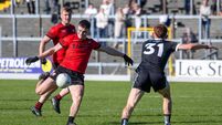 Watch and read: Seanie O'Shea hits eight to lead Kenmare into first Kerry SFC final