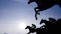 Silhouette of Race Horses Jumping a Fence