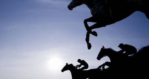 Silhouette of Race Horses Jumping a Fence