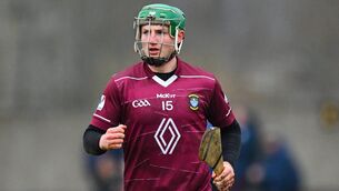 <p>David Williams shone on the day for Lough Lene. Pic: Shauna Clinton/Sportsfile</p>