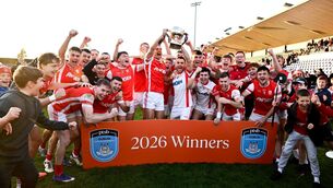 <p>Cuala players and supporters celebrate after victory in the PTSB Dublin County Senior Club Football Championship final. Pic: Piaras Ó Mídheach/Sportsfile</p> <p>Cuala players and supporters celebrate after victory in the PTSB Dublin County Senior Club Football Championship final. Pic: Piaras Ó Mídheach/Sportsfile</p>
