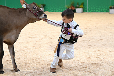 photos of the week