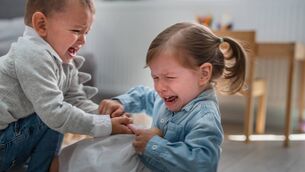 <p>If this behaviour is emerging around a particular social task, such as sharing, I would suggest giving him time and approaching this with patience, says Joanna. </p> <p>If this behaviour is emerging around a particular social task, such as sharing, I would suggest giving him time and approaching this with patience, says Joanna. </p>