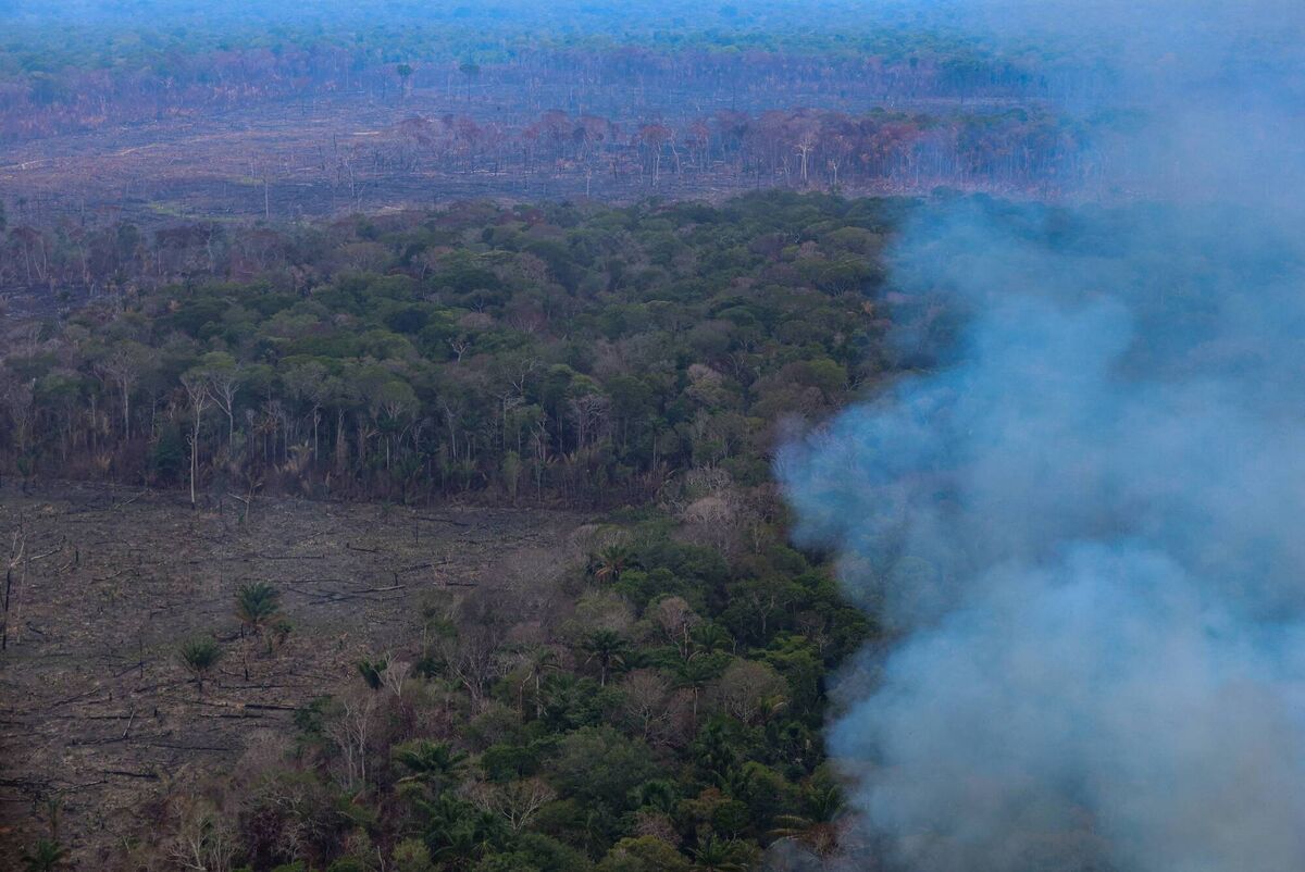 An area affected by fires in the Amazon rainforest in Autazes, in the state of Amazonas, northern Brazil on October 15, 2026. Photo: Michael Dantas/AFP via Getty Images An area affected by fires in the Amazon rainforest in Autazes, in the state of Amazonas, northern Brazil on October 15, 2026. Photo: Michael Dantas/AFP via Getty Images