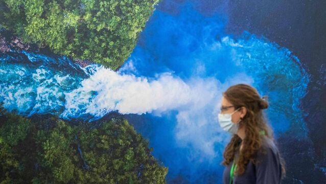 <p>A delegate at Cop15 in Montreal, which set ambitious targets such as protecting 30% of land and sea for nature and reforming $500bn of damaging subsidies. Photo; Lars Hagberg/AFP</p>