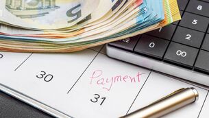 <p>BISS and CRISS payments will be issued before this weekend, minister Heydon confirms.</p> <p>BISS and CRISS payments will be issued before this weekend, minister Heydon confirms.</p>