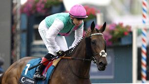 <p>Kalpana's wins included an epic victory in the King George at Ascot in July for trainer Andrew Balding. Pic: Richard Sellers/the Press Association.</p> <p>Kalpana's wins included an epic victory in the King George at Ascot in July for trainer Andrew Balding. Pic: Richard Sellers/the Press Association.</p>