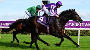 <p class="contextmenu internal_Caption">Aidan O’Brien will have a strong team to pick from in the William Hill Futurity Trophy at Doncaster, including Wall Street. Pic: Healy Racing</p> <p class="contextmenu internal_Caption">Aidan O’Brien will have a strong team to pick from in the William Hill Futurity Trophy at Doncaster, including Wall Street. Pic: Healy Racing</p>