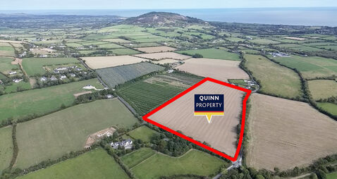 Gorey land sells for almost €50,000/acre at auction
