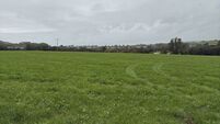 33-acre East Cork holding already under offer