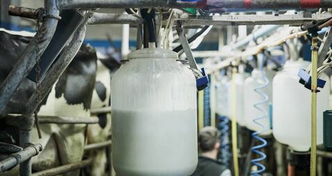 Freshly processed milk
