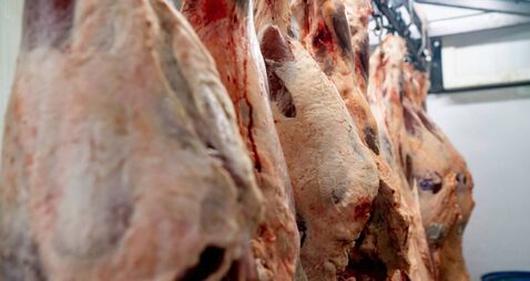 Close up shot of raw meat hanging on hooks at a slaughterhouse