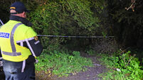 Mallow shooting: 'Bosco' O'Connor had litany of crimes in past decades